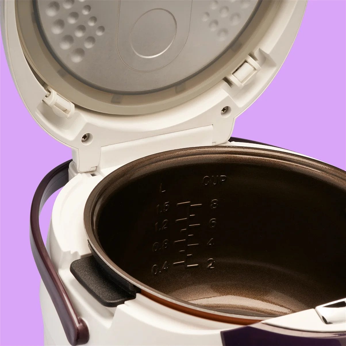 Binnenkom van Reishunger Digitale Rijstkoker